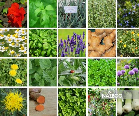 اقتصادی برای همه افراد