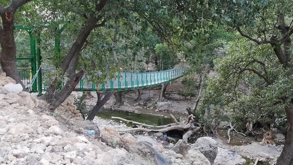 ایدهپردازی که دنیا را معلق کرد ایدهپردازی که دنیا را معلق کرد