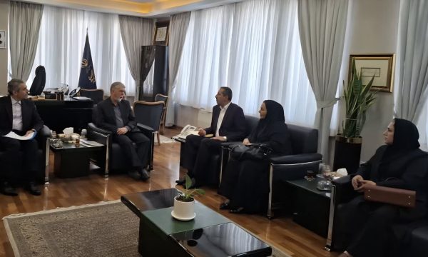 هاشمی‌نیا از وزیر ارشاد مطالبه کرد؛ نگذارید چراغ مطبوعات لرستان خاموش شود